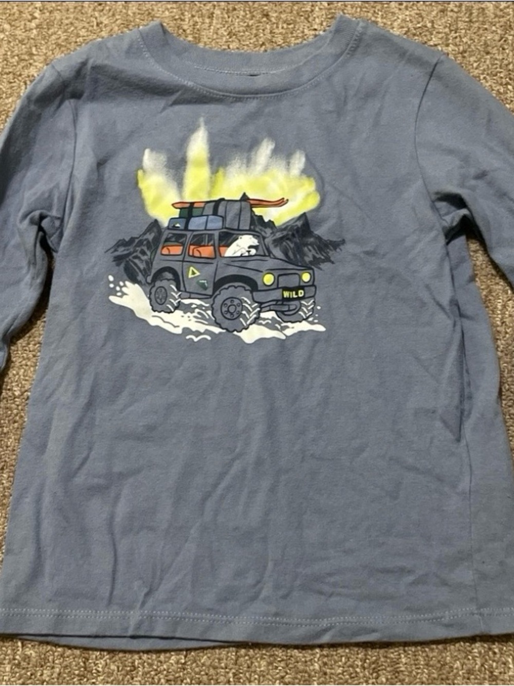 Garanimals Boys 5T Long Sleeve T-shirt Polar Bear Adventure Jeep Graphic Print